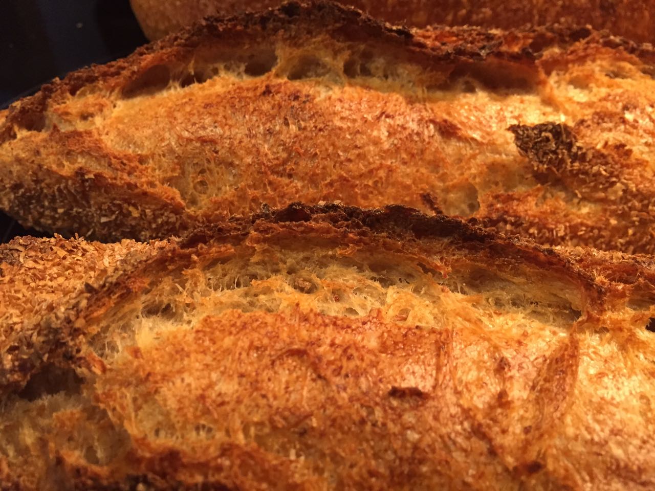 Abel's Catalan Peasant Bread The Fresh Loaf